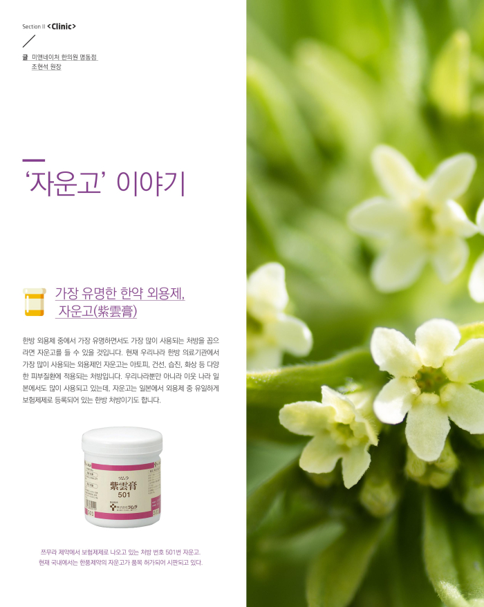 ‘자운고’ 이야기 이미지