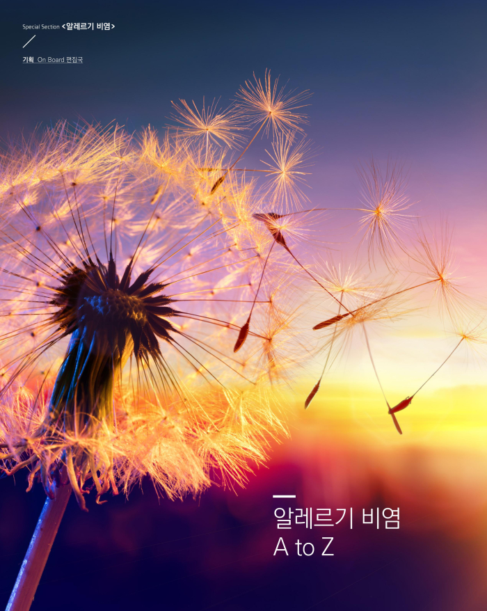 알레르기 비염 A to ... 이미지